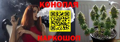 СК Волгодонск
