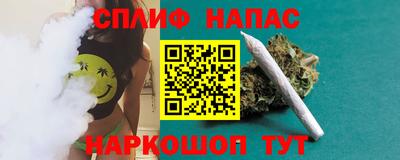 СК Волгодонск