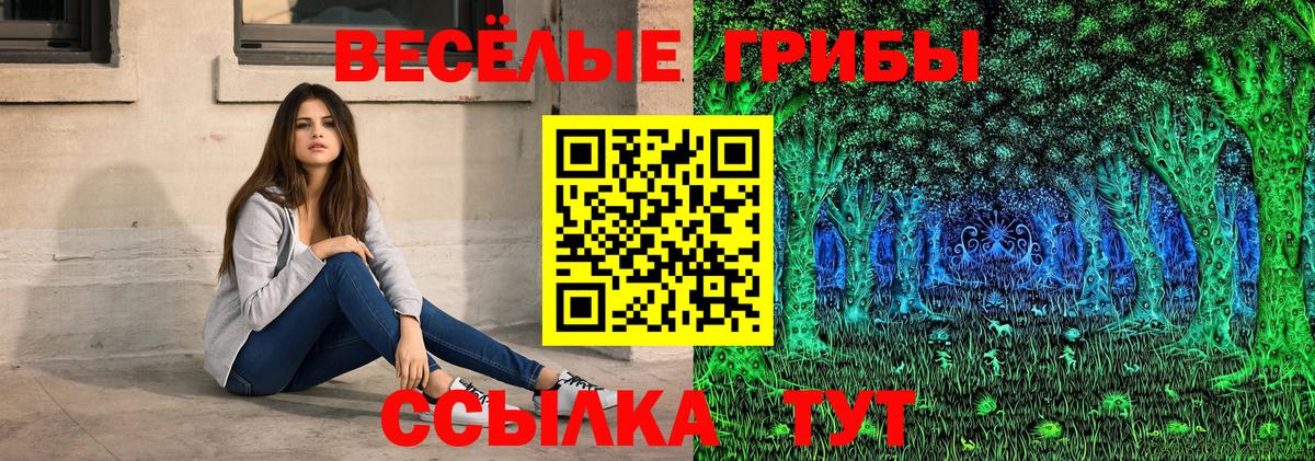 Гусиноозёрск  Псилоцибиновые грибы Cubensis  Вход с VPN 